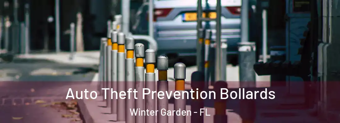  Auto Theft Prevention Bollards Winter Garden - FL