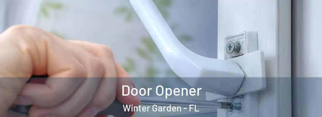  Door Opener Winter Garden - FL