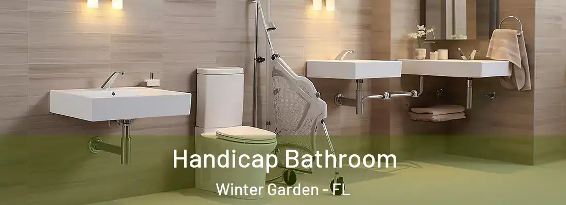  Handicap Bathroom Winter Garden - FL