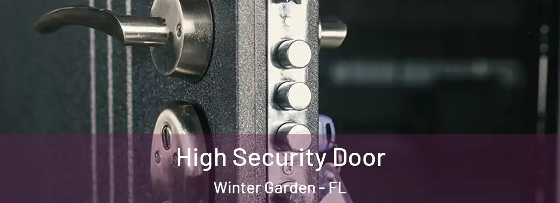  High Security Door Winter Garden - FL