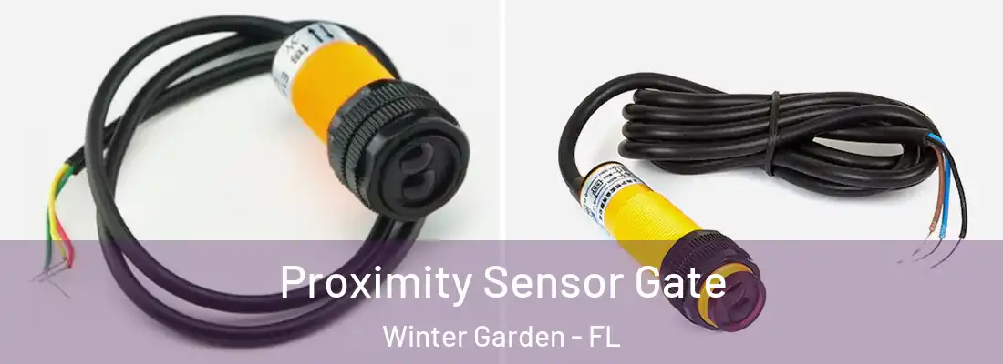  Proximity Sensor Gate Winter Garden - FL